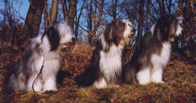 From the left: Jonna, Millie & Penny